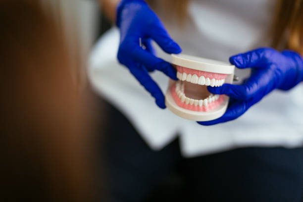 Best Root Canal Treatment  in Pimlico, SC